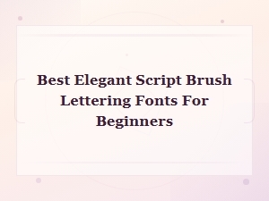 Best Elegant Script Brush Lettering Fonts for Beginners in 2024